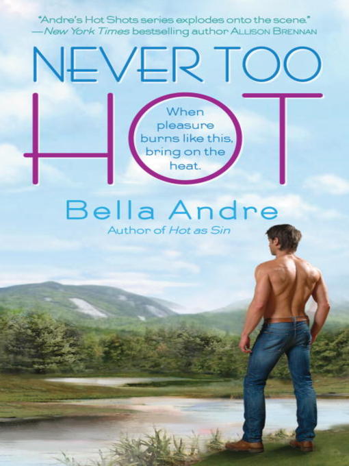 Title details for Never Too Hot by Bella Andre - Wait list